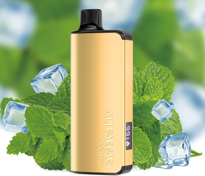 Alibarbar Ingot 9000 Puffs Vape - Cool Mint: A Refreshing Revolution in Australian Vaping